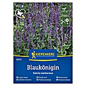 Kiepenkerl Cvetlična semena Podlesna kadulja Blaukönigin  (Salvia nemorosa, Vijolična) | 8127 - Feinsämereien in PG Marke | IBYA - Sämereien | IBY - Sämereien | IB - Grünpflanzen/Sämereien | I - Stadtgarten | BAUHAUS