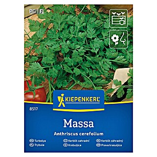 Kiepenkerl Zeliščna semena Krebuljica Massa (Anthriscus cerefolium, Čas setve: April, Čas žetve: Maj)