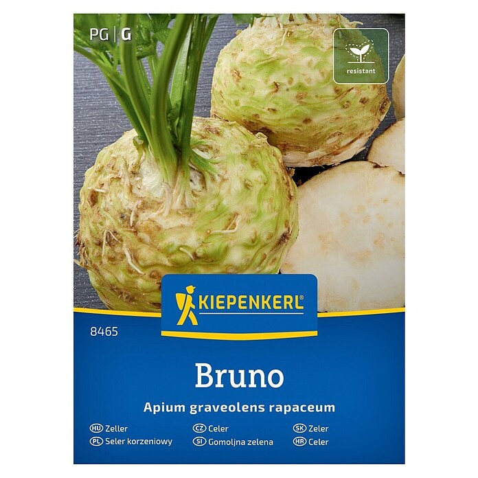 Kiepenkerl Zelenjavna semena Gomoljasta zelena Bruno  (Apium graveolens var. rapaceum, Čas žetve: September) | 8127 - Feinsämereien in PG Marke | IBYA - Sämereien | IBY - Sämereien | IB - Grünpflanzen/Sämereien | I - Stadtgarten | BAUHAUS