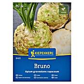 Kiepenkerl Zelenjavna semena Gomoljasta zelena Bruno  (Apium graveolens var. rapaceum, Čas žetve: September) | 8127 - Feinsämereien in PG Marke | IBYA - Sämereien | IBY - Sämereien | IB - Grünpflanzen/Sämereien | I - Stadtgarten | BAUHAUS