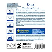 Kiepenkerl Zelenjavna semena Fižol Saxa  (Phaseolus vulgaris, Čas žetve: Julij) | 8127 - Feinsämereien in PG Marke | IBYA - Sämereien | IBY - Sämereien | IB - Grünpflanzen/Sämereien | I - Stadtgarten | BAUHAUS
