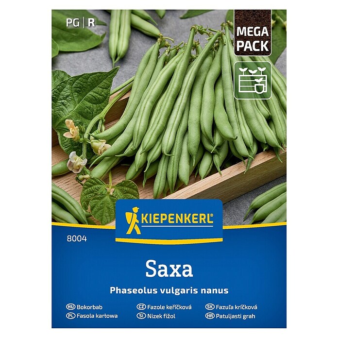 Kiepenkerl Zelenjavna semena Fižol Saxa  (Phaseolus vulgaris, Čas žetve: Julij) | 8127 - Feinsämereien in PG Marke | IBYA - Sämereien | IBY - Sämereien | IB - Grünpflanzen/Sämereien | I - Stadtgarten | BAUHAUS