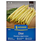 Kiepenkerl Zelenjavna semena Fižol Dior  (Phaseolus vulgaris, Čas žetve: Julij) | 8127 - Feinsämereien in PG Marke | IBYA - Sämereien | IBY - Sämereien | IB - Grünpflanzen/Sämereien | I - Stadtgarten | BAUHAUS
