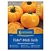 Kiepenkerl Zelenjavna semena Paradižnik Fido Midi  (Solanum lycopersicum, Čas žetve: Julij) | 8127 - Feinsämereien in PG Marke | IBYA - Sämereien | IBY - Sämereien | IB - Grünpflanzen/Sämereien | I - Stadtgarten | BAUHAUS