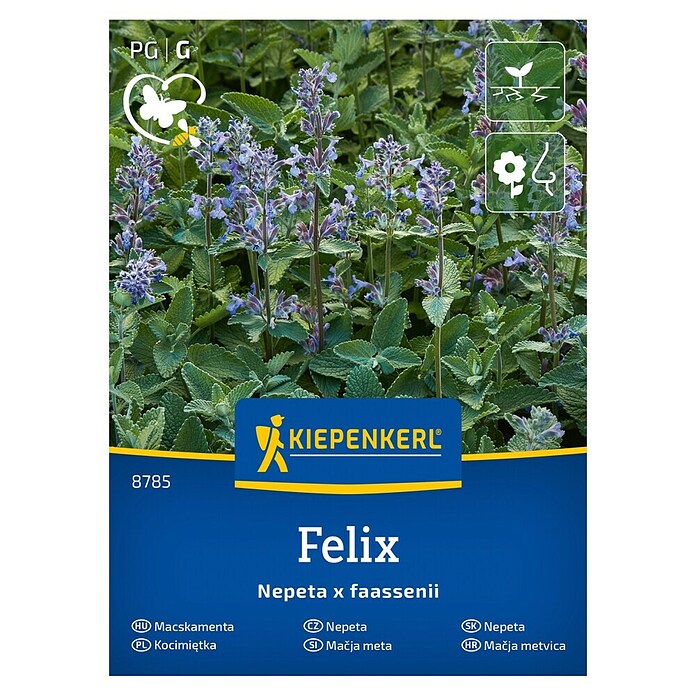 Kiepenkerl Zeliščna semena Mačja meta  (Nepeta x faasseenii, Čas setve: April, Čas žetve: Maj) | 8127 - Feinsämereien in PG Marke | IBYA - Sämereien | IBY - Sämereien | IB - Grünpflanzen/Sämereien | I - Stadtgarten | BAUHAUS