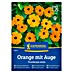 Kiepenkerl Cvetlična semena Tunbergija Orange mit Auge 