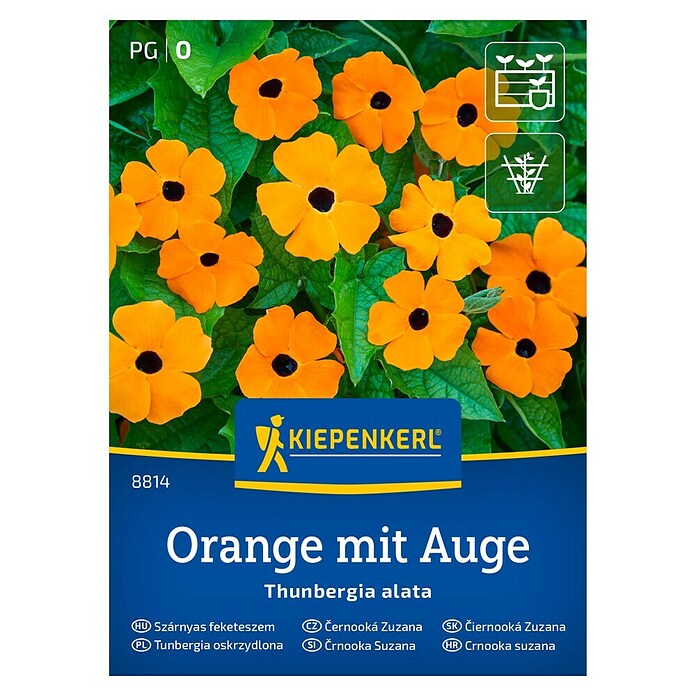 Kiepenkerl Cvetlična semena Tunbergija Orange mit Auge  (Thunbergia alata, Oranžna) | 8127 - Feinsämereien in PG Marke | IBYA - Sämereien | IBY - Sämereien | IB - Grünpflanzen/Sämereien | I - Stadtgarten | BAUHAUS