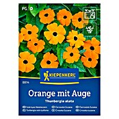 Kiepenkerl Cvetlična semena Tunbergija Orange mit Auge  (Thunbergia alata, Oranžna) | 8127 - Feinsämereien in PG Marke | IBYA - Sämereien | IBY - Sämereien | IB - Grünpflanzen/Sämereien | I - Stadtgarten | BAUHAUS