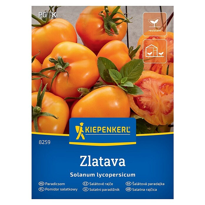 Kiepenkerl Zelenjavna semena Paradižnik Zlatava  (Solanum lycopersicum, Čas žetve: Julij) | 8127 - Feinsämereien in PG Marke | IBYA - Sämereien | IBY - Sämereien | IB - Grünpflanzen/Sämereien | I - Stadtgarten | BAUHAUS