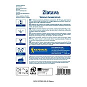 Kiepenkerl Zelenjavna semena Paradižnik Zlatava  (Solanum lycopersicum, Čas žetve: Julij) | 8127 - Feinsämereien in PG Marke | IBYA - Sämereien | IBY - Sämereien | IB - Grünpflanzen/Sämereien | I - Stadtgarten | BAUHAUS
