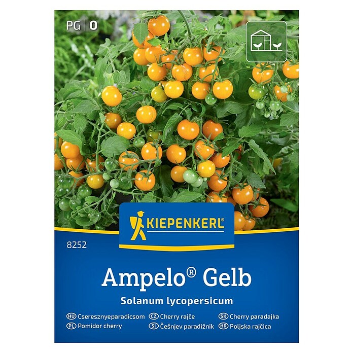 Kiepenkerl Zelenjavna semena Paradižnik Ampelo Gelb  (Solanum lycopersicum, Čas žetve: Julij) | 8127 - Feinsämereien in PG Marke | IBYA - Sämereien | IBY - Sämereien | IB - Grünpflanzen/Sämereien | I - Stadtgarten | BAUHAUS