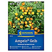 Kiepenkerl Zelenjavna semena Paradižnik Ampelo Gelb  (Solanum lycopersicum, Čas žetve: Julij) | 8127 - Feinsämereien in PG Marke | IBYA - Sämereien | IBY - Sämereien | IB - Grünpflanzen/Sämereien | I - Stadtgarten | BAUHAUS