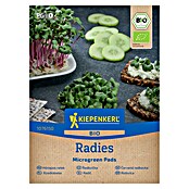 Kiepenkerl Bio Zelenjavna semena Redkvica  (Raphanus sativus vaar. sativus, Čas žetve: Januar) | 8127 - Feinsämereien in PG Marke | IBYA - Sämereien | IBY - Sämereien | IB - Grünpflanzen/Sämereien | I - Stadtgarten | BAUHAUS