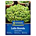 Kiepenkerl Zelenjavna semena Solata Lollo Bionda 