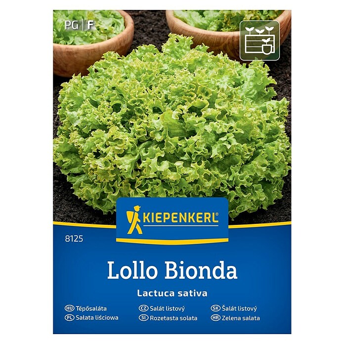 Kiepenkerl Zelenjavna semena Solata Lollo Bionda  (Lactuca sativa, Čas žetve: Maj) | 8127 - Feinsämereien in PG Marke | IBYA - Sämereien | IBY - Sämereien | IB - Grünpflanzen/Sämereien | I - Stadtgarten | BAUHAUS