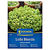 Kiepenkerl Zelenjavna semena Solata Lollo Bionda  (Lactuca sativa, Čas žetve: Maj) | 8127 - Feinsämereien in PG Marke | IBYA - Sämereien | IBY - Sämereien | IB - Grünpflanzen/Sämereien | I - Stadtgarten | BAUHAUS