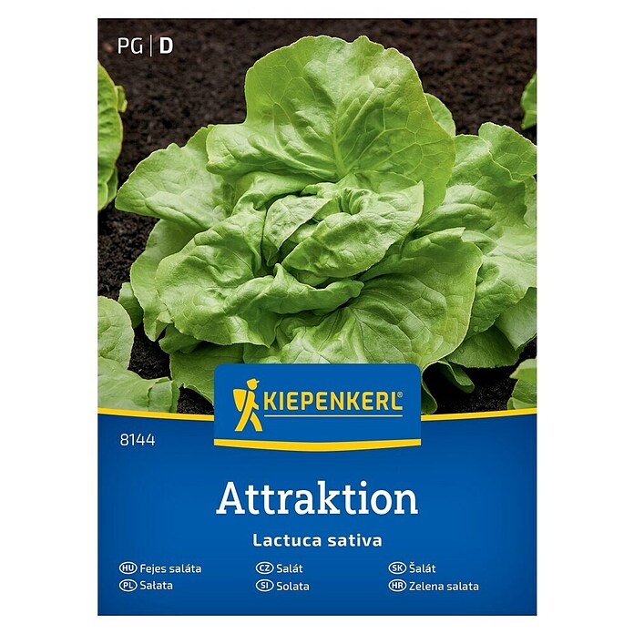 Kiepenkerl Zelenjavna semena Solata Attraktion  (Lactuca sativa, Čas žetve: Junij) | 8127 - Feinsämereien in PG Marke | IBYA - Sämereien | IBY - Sämereien | IB - Grünpflanzen/Sämereien | I - Stadtgarten | BAUHAUS
