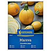 Kiepenkerl Zelenjavna semena Buča Mareva  (Cucurbita pepo, Čas žetve: Julij) | 8127 - Feinsämereien in PG Marke | IBYA - Sämereien | IBY - Sämereien | IB - Grünpflanzen/Sämereien | I - Stadtgarten | BAUHAUS