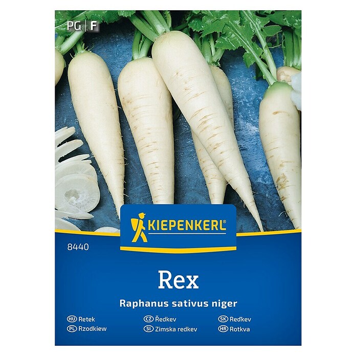 Kiepenkerl Zelenjavna semena Redkvica Rex  (Raphanus sativus var. niger, Čas žetve: Marec) | 8127 - Feinsämereien in PG Marke | IBYA - Sämereien | IBY - Sämereien | IB - Grünpflanzen/Sämereien | I - Stadtgarten | BAUHAUS