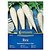 Kiepenkerl Zelenjavna semena Redkvica Rex  (Raphanus sativus var. niger, Čas žetve: Marec) | 8127 - Feinsämereien in PG Marke | IBYA - Sämereien | IBY - Sämereien | IB - Grünpflanzen/Sämereien | I - Stadtgarten | BAUHAUS