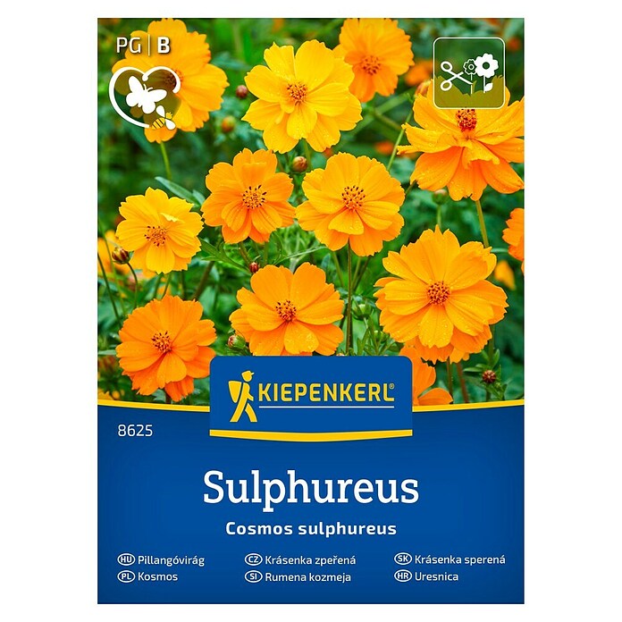 Kiepenkerl Cvetlična semena Rumena kozmeja  (Cosmos sulphureus, Rumena) | 8127 - Feinsämereien in PG Marke | IBYA - Sämereien | IBY - Sämereien | IB - Grünpflanzen/Sämereien | I - Stadtgarten | BAUHAUS