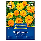 Kiepenkerl Cvetlična semena Rumena kozmeja  (Cosmos sulphureus, Rumena) | 8127 - Feinsämereien in PG Marke | IBYA - Sämereien | IBY - Sämereien | IB - Grünpflanzen/Sämereien | I - Stadtgarten | BAUHAUS