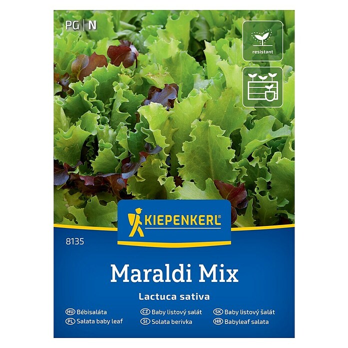 Kiepenkerl Mešanica zelenjavnih semen Solata berivka Maraldi  (Lactuca sativa, Čas žetve: April) | 8127 - Feinsämereien in PG Marke | IBYA - Sämereien | IBY - Sämereien | IB - Grünpflanzen/Sämereien | I - Stadtgarten | BAUHAUS
