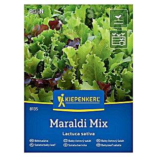 Kiepenkerl Mešanica zelenjavnih semen Solata berivka Maraldi (Lactuca sativa, Čas žetve: April)