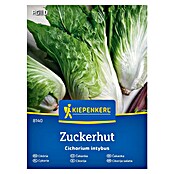 Kiepenkerl Zelenjavna semena Radič Zuckerhut  (Cichorium intybus, Čas žetve: September) | 8127 - Feinsämereien in PG Marke | IBYA - Sämereien | IBY - Sämereien | IB - Grünpflanzen/Sämereien | I - Stadtgarten | BAUHAUS