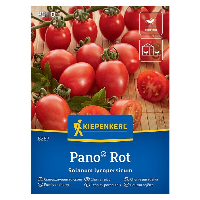Kiepenkerl Zelenjavna semena Paradižnik Pano F1  (Solanum lycopersicum, Čas žetve: Julij) | 8127 - Feinsämereien in PG Marke | IBYA - Sämereien | IBY - Sämereien | IB - Grünpflanzen/Sämereien | I - Stadtgarten | BAUHAUS