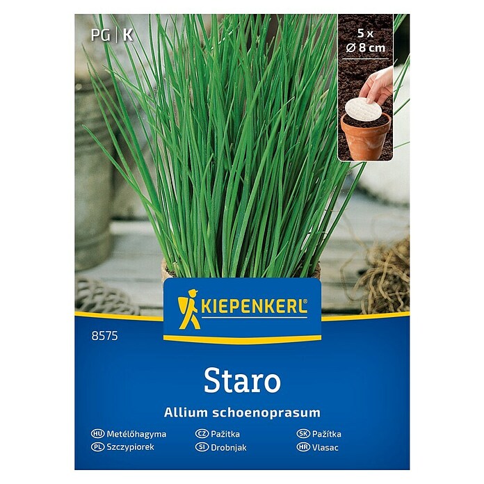 Kiepenkerl Zeliščna semena Drobnjak Staro ploščica  (Allium schoenoprasum, Čas setve: Marec, Čas žetve: Maj) | 8127 - Feinsämereien in PG Marke | IBYA - Sämereien | IBY - Sämereien | IB - Grünpflanzen/Sämereien | I - Stadtgarten | BAUHAUS