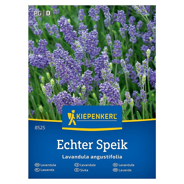 Kiepenkerl Zeliščna semena Prava sivka  (Lavandula angustifolia, Čas setve: Marec, Čas žetve: Julij) | 8127 - Feinsämereien in PG Marke | IBYA - Sämereien | IBY - Sämereien | IB - Grünpflanzen/Sämereien | I - Stadtgarten | BAUHAUS