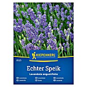Kiepenkerl Zeliščna semena Prava sivka  (Lavandula angustifolia, Čas setve: Marec, Čas žetve: Julij) | 8127 - Feinsämereien in PG Marke | IBYA - Sämereien | IBY - Sämereien | IB - Grünpflanzen/Sämereien | I - Stadtgarten | BAUHAUS