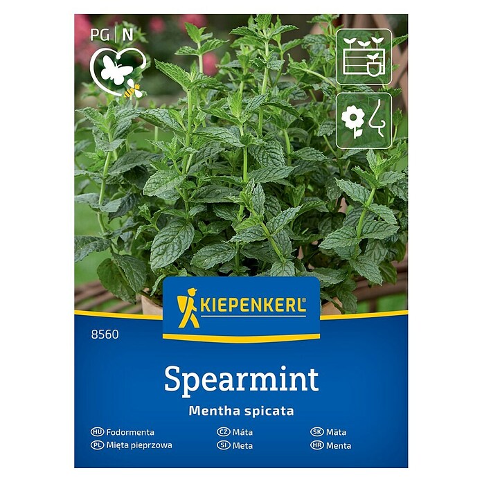 Kiepenkerl Zeliščna semena Klasasta meta  (Mentha spicata) | 8127 - Feinsämereien in PG Marke | IBYA - Sämereien | IBY - Sämereien | IB - Grünpflanzen/Sämereien | I - Stadtgarten | BAUHAUS