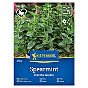 Kiepenkerl Zeliščna semena Klasasta meta  (Mentha spicata) | 8127 - Feinsämereien in PG Marke | IBYA - Sämereien | IBY - Sämereien | IB - Grünpflanzen/Sämereien | I - Stadtgarten | BAUHAUS