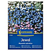 Kiepenkerl Mešana cvetlična semena Gozdna spominčica Jewel  (Myosotis sylvatica, Večbarvna) | 8127 - Feinsämereien in PG Marke | IBYA - Sämereien | IBY - Sämereien | IB - Grünpflanzen/Sämereien | I - Stadtgarten | BAUHAUS