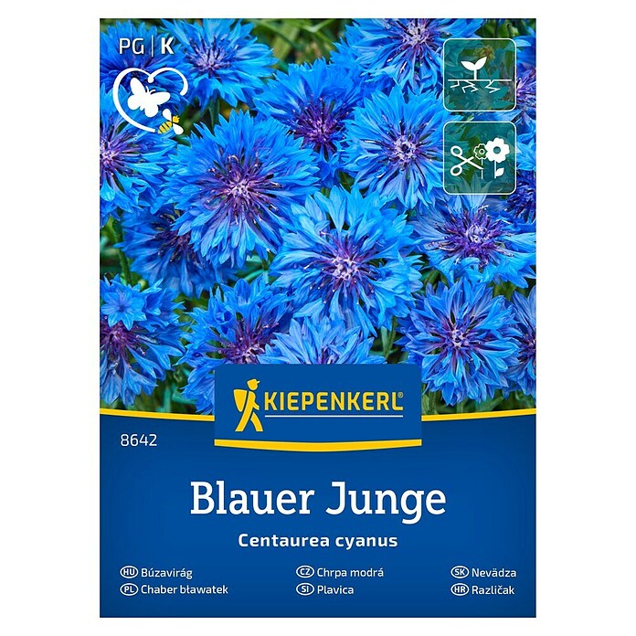Kiepenkerl Cvetlična semena Modri glavinec Blauer Junge  (Centaurea cyanus, Modra) | 8127 - Feinsämereien in PG Marke | IBYA - Sämereien | IBY - Sämereien | IB - Grünpflanzen/Sämereien | I - Stadtgarten | BAUHAUS