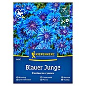 Kiepenkerl Cvetlična semena Modri glavinec Blauer Junge  (Centaurea cyanus, Modra) | 8127 - Feinsämereien in PG Marke | IBYA - Sämereien | IBY - Sämereien | IB - Grünpflanzen/Sämereien | I - Stadtgarten | BAUHAUS