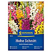 Kiepenkerl Mešana cvetlična semena Zajčki  (Antirrhinum majus, Večbarvna) | 8127 - Feinsämereien in PG Marke | IBYA - Sämereien | IBY - Sämereien | IB - Grünpflanzen/Sämereien | I - Stadtgarten | BAUHAUS