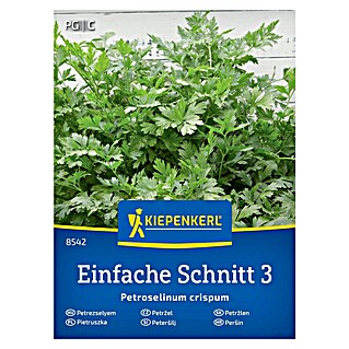 Kiepenkerl Zelenjavna semena Peteršilj Einfache Schnitt 3 (Petroselinum crispum, Čas žetve: Junij)