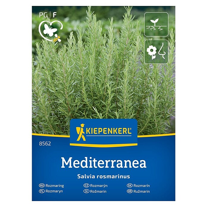 Kiepenkerl Zeliščna semena Rožmarin  (Salvia rosmarinus, Čas setve: Marec, Čas žetve: Junij) | 8127 - Feinsämereien in PG Marke | IBYA - Sämereien | IBY - Sämereien | IB - Grünpflanzen/Sämereien | I - Stadtgarten | BAUHAUS