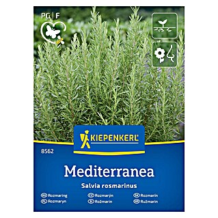 Kiepenkerl Zeliščna semena Rožmarin (Salvia rosmarinus, Čas setve: Marec, Čas žetve: Junij)