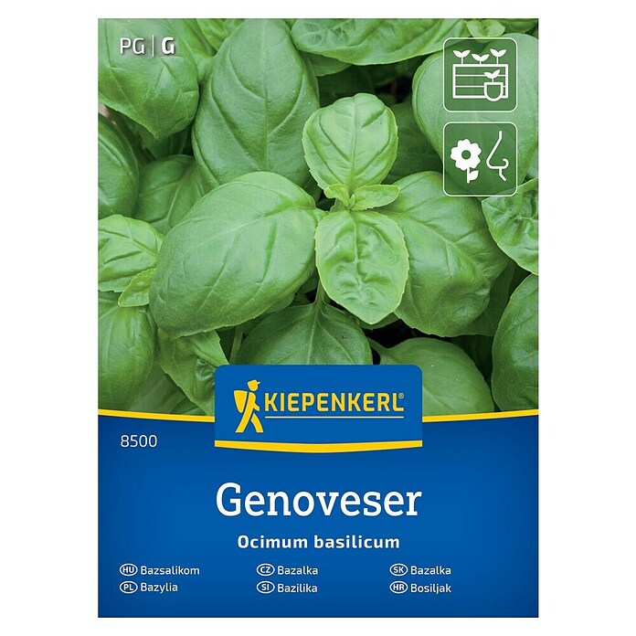 Kiepenkerl Zeliščna semena Bazilika Genoveser  (Ocimum basilicum, Čas setve: Marec, Čas žetve: Junij) | 8127 - Feinsämereien in PG Marke | IBYA - Sämereien | IBY - Sämereien | IB - Grünpflanzen/Sämereien | I - Stadtgarten | BAUHAUS