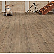 LOGOCLIC Ambienta Laminat  (Hrast Apolo, Rustikalen videz, 1.288 x 195 x 10 mm) | 5143 - Logoclic Ambienta | GCDA - Laminatboden | GCD - Wand Boden Decke Leisten | GC - Wand Boden Decke Leisten | G - Holz/Bauelem | BAUHAUS