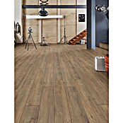 LOGOCLIC Ambienta Laminat  (Hrast Apolo, Rustikalen videz, 1.288 x 195 x 10 mm) | 5143 - Logoclic Ambienta | GCDA - Laminatboden | GCD - Wand Boden Decke Leisten | GC - Wand Boden Decke Leisten | G - Holz/Bauelem | BAUHAUS