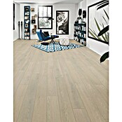 LOGOCLIC Aquaprotect Laminat  (Hrast Mistery, Rustikalen videz, 1.288 x 195 x 8 mm) | 5127 - Logoclic Aqua Protect | GCDA - Laminatboden | GCD - Wand Boden Decke Leisten | GC - Wand Boden Decke Leisten | G - Holz/Bauelem | BAUHAUS