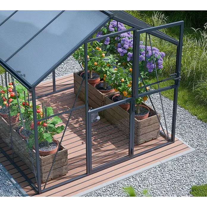 Geo garden Gewächshaus Paris 2 - Außenmaß inkl. Dachüberstand (B x T): 236,6 x 232,1 cm, Anthrazit - Dunkelgraues Metallgewächshaus mit lichtdurchlässigem Dach, beherbergt Topfpflanzen auf Holzterrasse, umgeben von Kies und Gartenpflanzen.