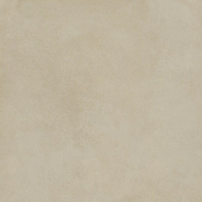 Momastela Feinsteinzeugfliese Alexandria (60 x 60 cm, Beige, Matt) | BAUHAUS