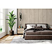 Panel acústico Wood Acoustic 1 (Beige, L x An x Es: 240 x 56 x 0,8 cm) | BAUHAUS