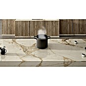 Placa de cocción Cooking surface 3.0 (L x An: 49,3 x 56 cm) | BAUHAUS